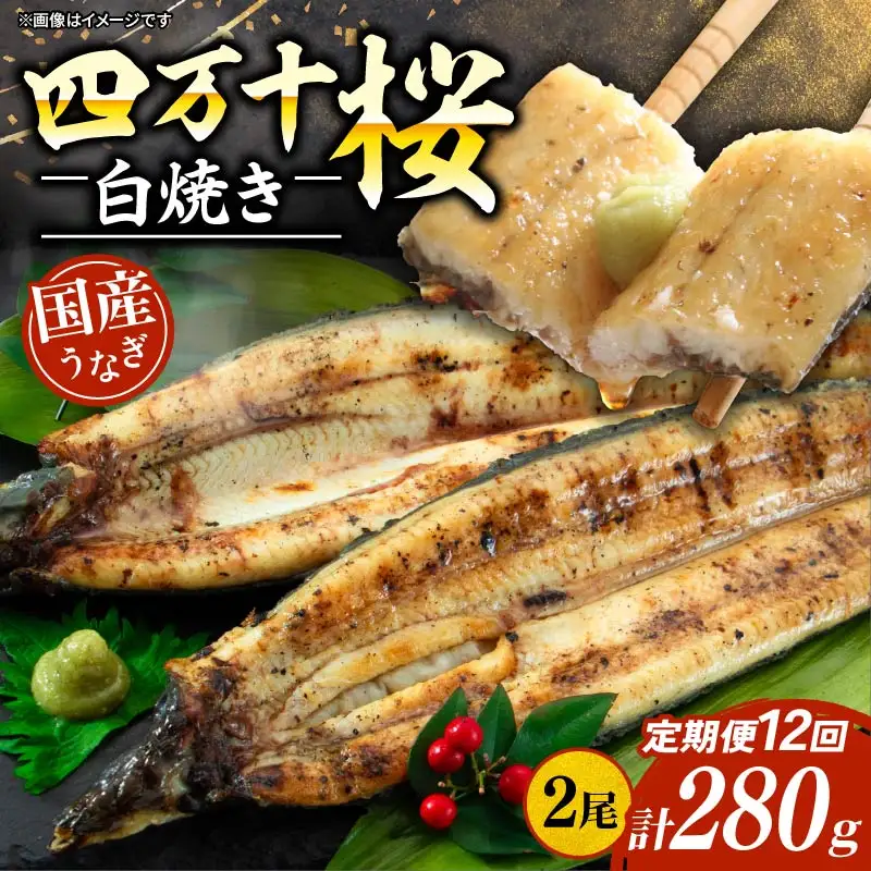 【通常用】【12回定期便】極上国産うなぎ四万十桜 白焼き約140g×2尾 うなぎ