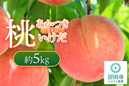 《7月下旬～8月中旬にお届け》 桃「あかつき」または「いけだ」約5kg フルーツ王国松井