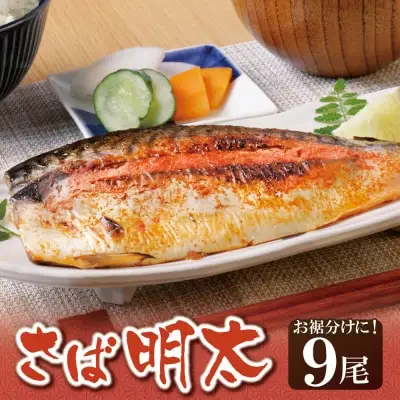 Y08-16 さば明太 9尾 