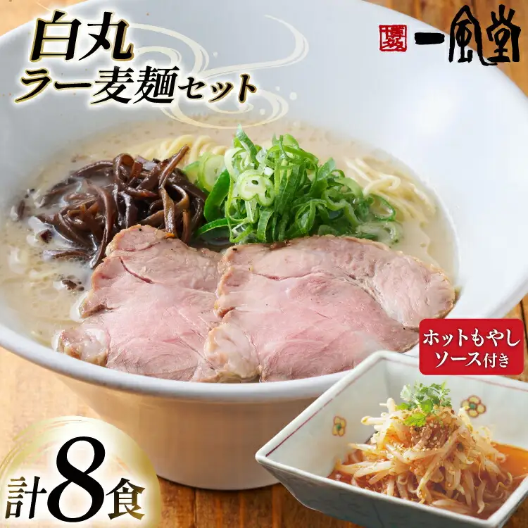 ラーメン 九州 一風堂 白丸ラー麦麺 ホットもやし ソース セット [フーデリジェンス 福岡県 筑紫野市 21761092]