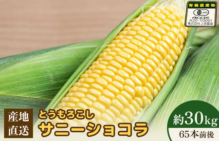 【2026年度発送分】上原農場直送 有機栽培とうもろこし (サニーショコラ) 約30kg 約65本前後【6602101】