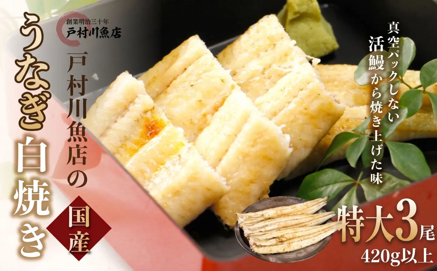 戸村川魚店の国産うなぎ 白焼き特大サイズ 3尾 セット /  うなぎ 国産うなぎ 鰻 国産鰻 ウナギ 国産ウナギ 白焼 白焼き 戸村川魚店 TMR003