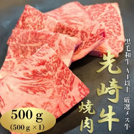 【先崎牛】A4等級以上の希少な厳選メス牛◆ロース焼肉500g【配送不可地域：離島】【1630453】
