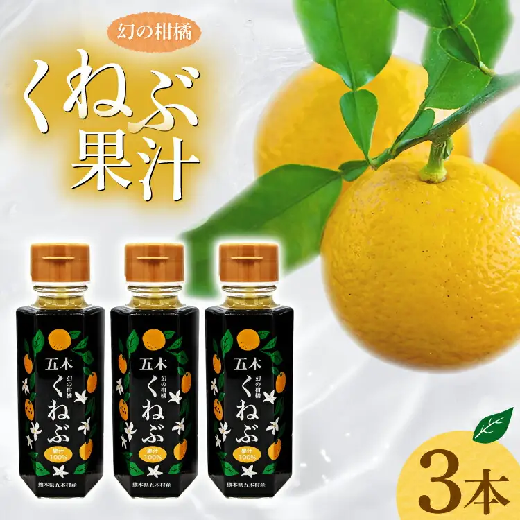 くねぶ果汁 3本 セット [子守唄の里五木 熊本県 五木村 51120350]