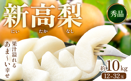 【2026年先行予約】新高梨 約10kg (12-32玉) 日本フルーツ株式会社《9月上旬-10月上旬頃出荷》熊本県 荒尾市 新高梨 梨 果物 フルーツ スイーツ デザート ギフト ご贈答