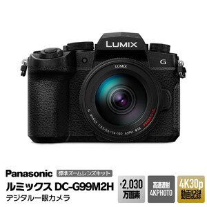 パナソニック デジタルカメラ ルミックス DC-G99M2H カメラ