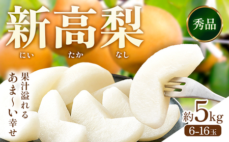 【2026年先行予約】新高梨 約5kg（6～16玉） 日本フルーツ株式会社《9月上旬-10月上旬頃出荷》熊本県 荒尾市 新高梨 梨 果物 フルーツ スイーツ デザート ギフト ご贈答