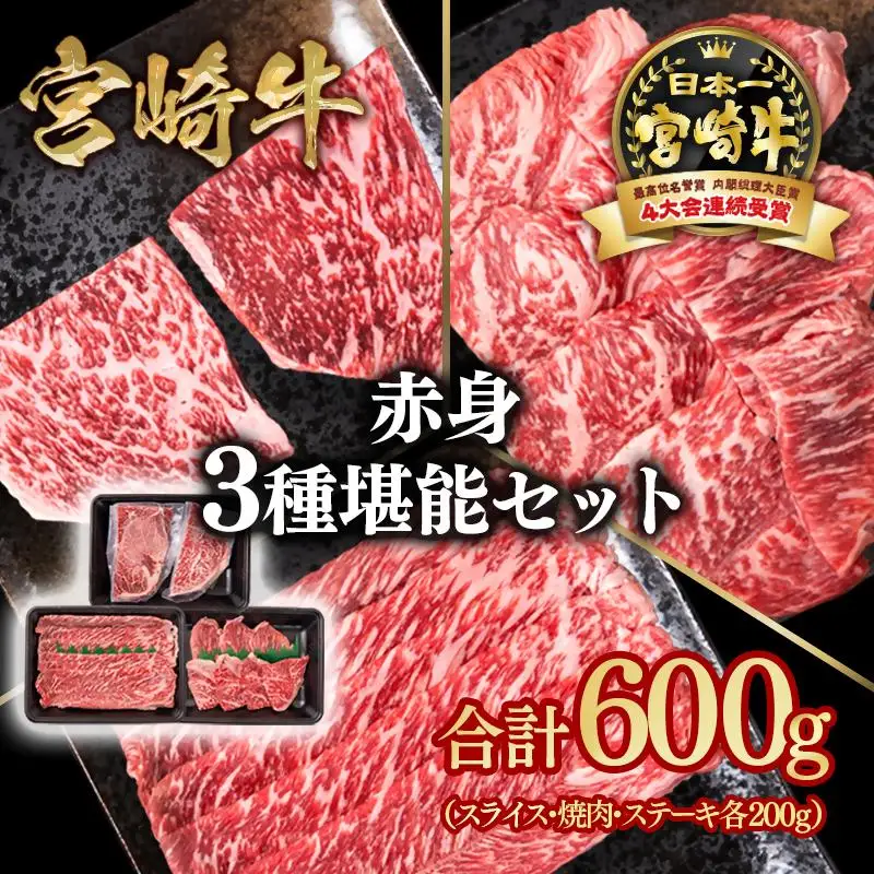 宮崎牛 赤身堪能セット 計600g 小分け200g×3 ブランド牛 A４～A5等級 内閣総理大臣賞4連覇＜58-12a＞Y