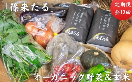 【有機野菜 お米 定期便】2025年10月以降発送 (有機野菜 玄米2kg)  有機野菜 米 定期便 SUBSC-CW100