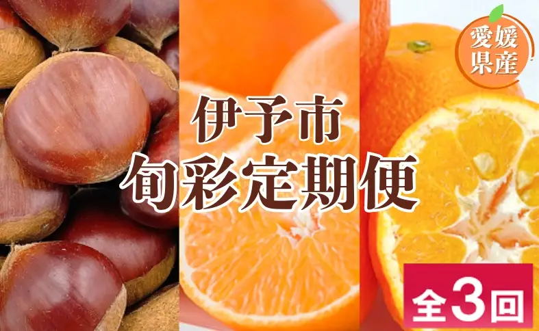 【2026年先行予約】伊予市旬彩定期便 全3回 中山栗 紅まどんな 伊予柑 愛媛県 伊予市｜D48
