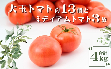 AP2　田中農園自慢のトマト4kg【 トマト とまと 農園 野菜 産地直送 新鮮 】