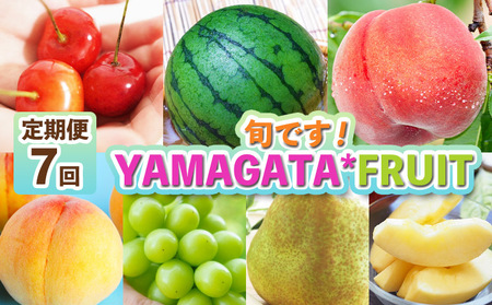 【定期便7回】旬です！YAMAGATA＊FRUIT FZ25-285