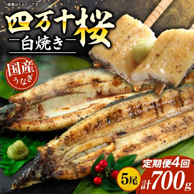 【通常用】【4回定期便】極上国産うなぎ四万十桜 白焼き約140g×5尾 白焼き