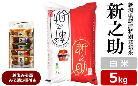 【令和7年産米】新之助 白米 5kg 新潟県認証特別栽培米 ＆ 越後みそ西みそ漬5種セット [Y0519]