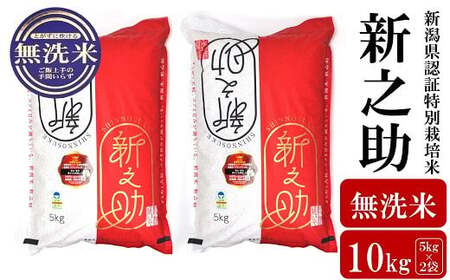 【令和7年産米】新之助 無洗米 10kg（5kg×2袋）新潟県認証特別栽培米 お米 新潟県産 アグリーホンマ[Y0538]