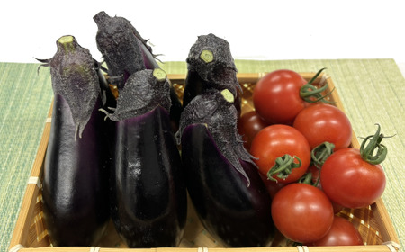 野菜  少量セット 野菜  TR-15