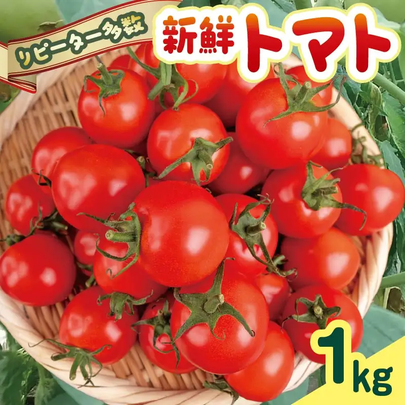 新鮮トマト1kg 【安田町産】| トマト TR-03