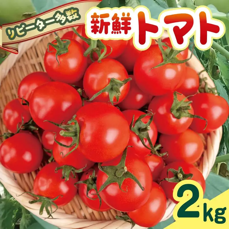 【先行受付】 トマト 2kg 安田町 トマト TR-11