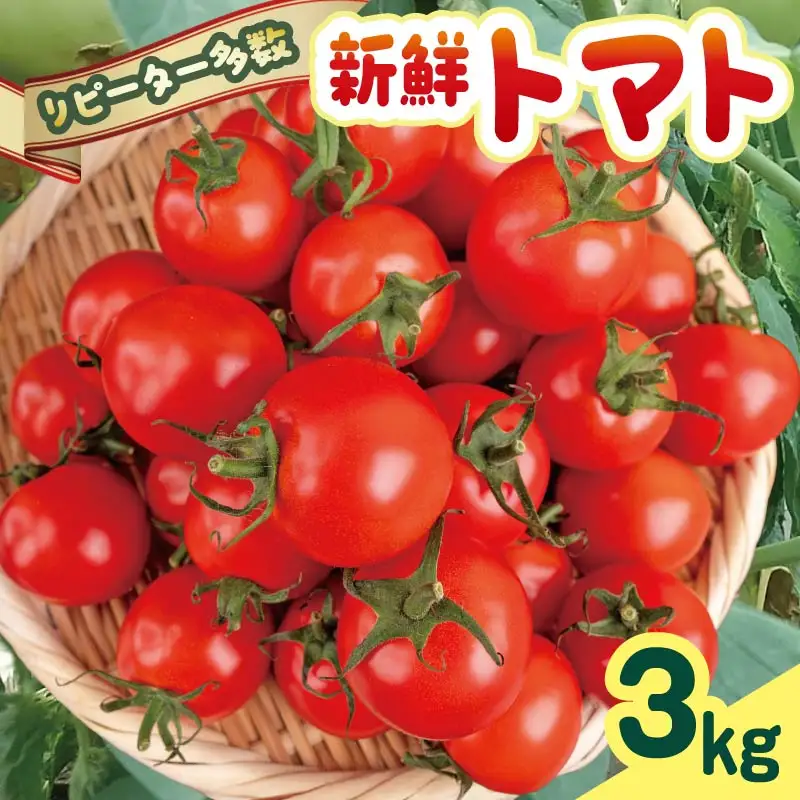 【先行受付】 新鮮トマト 3kg 【安田町産】 ｜ トマト TR-04