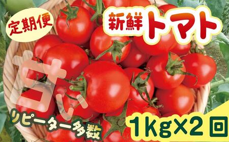先行受付 トマト 1kg 2回 計2㎏ 安田町産 定期便 トマト TR-05