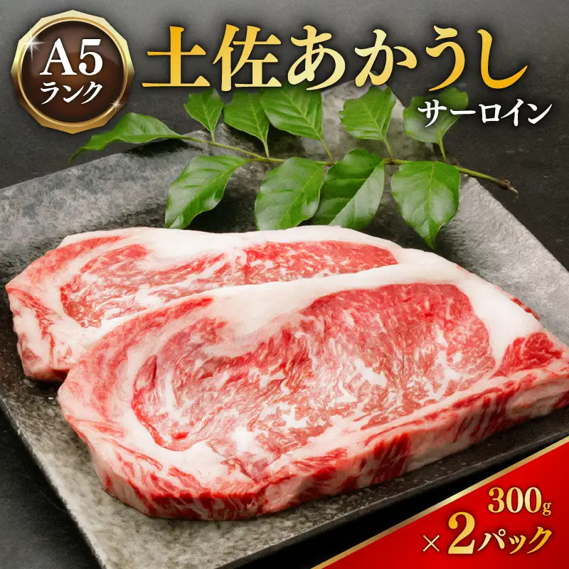 土佐あかうし サーロインステーキ 1パック 300g×2枚 ステーキ MT-10