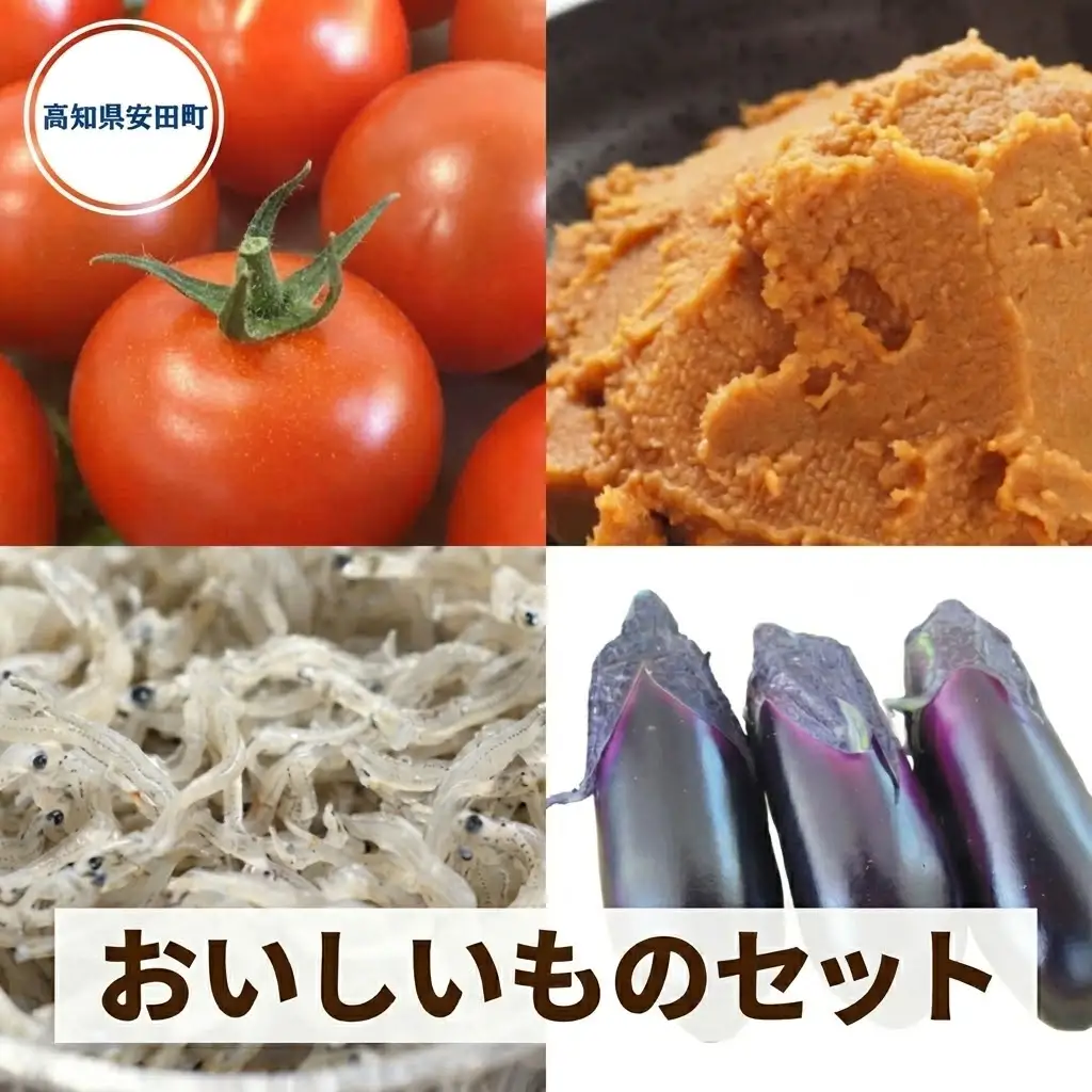 安田町のおいしいもの詰め合わせ 生パスタ 野菜 やさい 果物 フルーツ 米 調味料 スイーツ TR-06