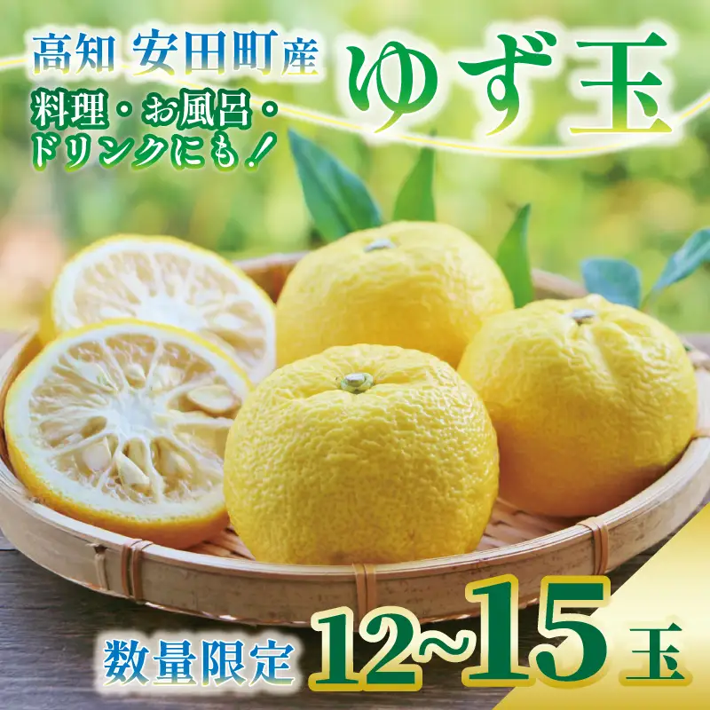 【先行受付】ゆず 万能 ゆず玉 高知県 安田町 |  TR-26