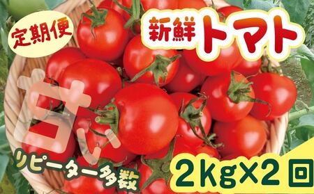 先行受付 安田町産 新鮮トマト 2kg 定期便 2回 TR-23