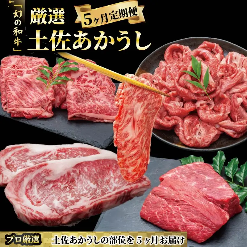 希少 土佐あかうし 5回定期便 厳選部位 牛肉 すき焼き しゃぶしゃぶ | 高知県産 安田町  MT-13