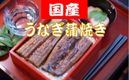 うなぎ 蒲焼 約150g×5匹 鰻 TR-09