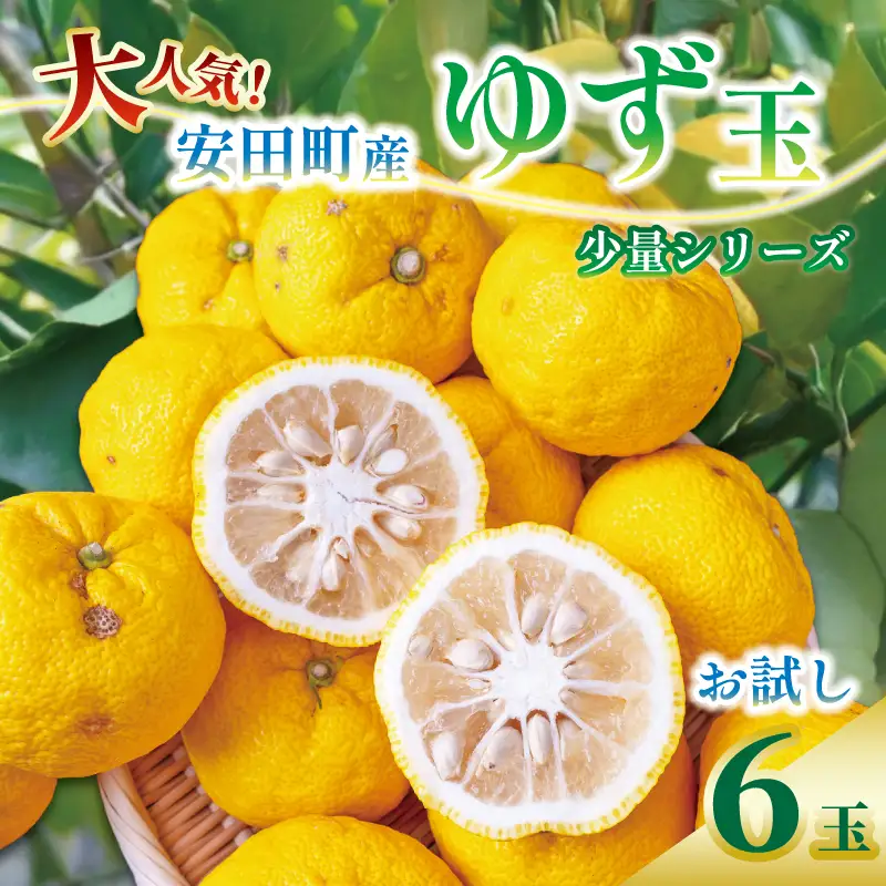 【先行受付】 少量シリーズ ゆず 6個 果汁 果物 風呂 お酒 冬至 高知県 安田町 TR-22