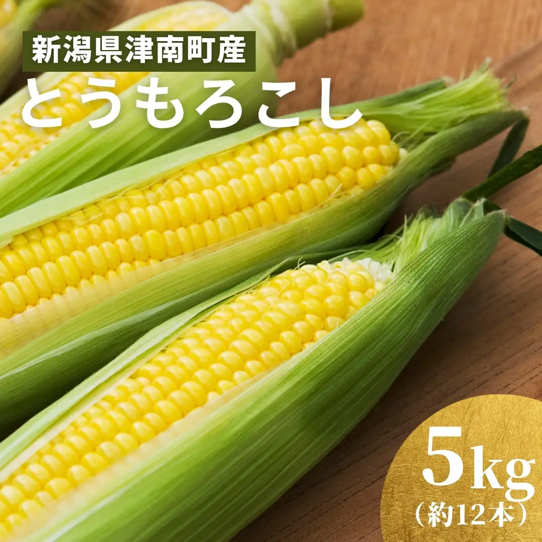 【令和8年産先行予約】とうもろこし 朝採れ ゴールドラッシュ 5kg 約12本 7月下旬発送開始 |津南町 とうもろこし