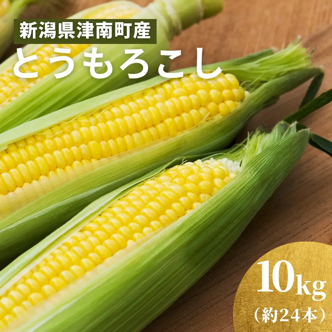 【令和8年産先行予約】とうもろこし 朝採れ ゴールドラッシュ 10kg 約24本 7月下旬発送開始 |津南町 とうもろこし