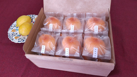ケーキ工房菜の花 無添加レモンケーキ　大　(20個入り)