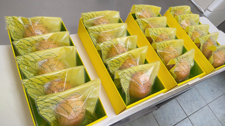 ケーキ工房菜の花　純朴レモンケーキ(5個入り)