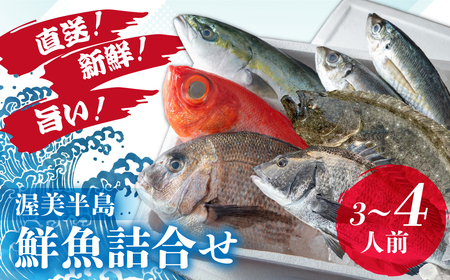 伊良湖直送　昼採れ鮮魚詰め合わせ特選セット 下処理済み 魚セット 愛知県 田原市 海鮮 魚介類 魚 鮮魚 鮮魚セット 詰合せ 魚 お魚