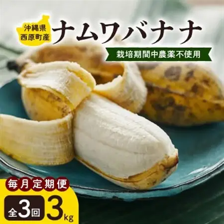 【毎月定期便】西原町の栽培期間中農薬不使用のナムワバナナ3kg全3回【4069633】