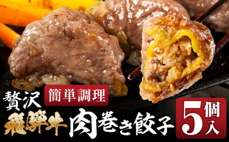贅沢！飛騨牛 肉巻 餃子 5個 餃子 [mt1826]