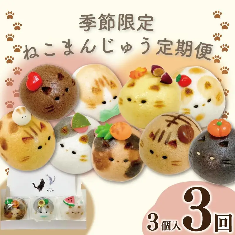 定期便 3回 上用まんじゅう ねこ 3個 セット 冷凍便