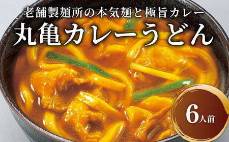 讃岐うどん カレーうどん 6人前 スープ付