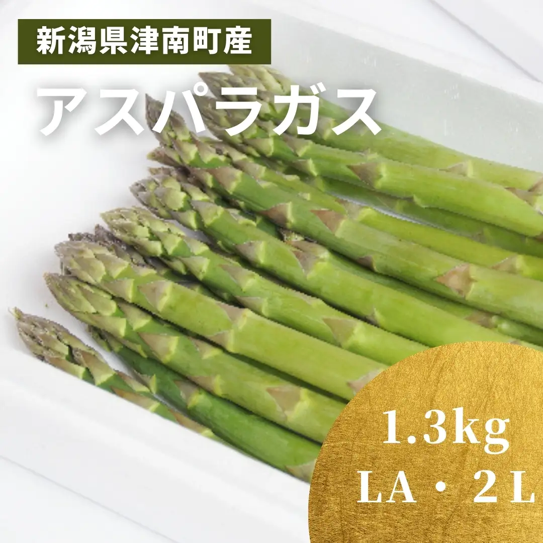 【令和8年産先行予約】津南産アスパラガス LA・2L おまかせ1.3kg |津南町 アスパラガス