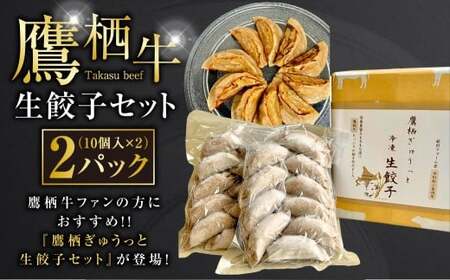 鷹栖牛 生餃子セット たかすぎゅうっと生餃子 10個入り×2パック 合計20個 北海道 鷹栖町 新田ファーム 牛肉 冷凍餃子 生餃子 牛肉 冷凍