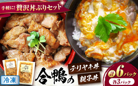 【冷凍】合鴨親子丼の素・合鴨テリヤキ丼の素 各3 計6パック [AQCB019] 親子丼 セット