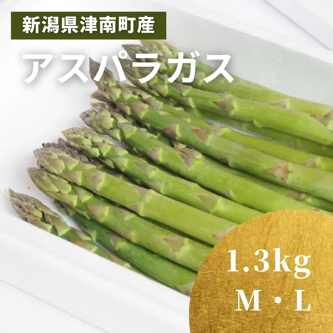 【令和8年産先行予約】津南産アスパラガス M・L おまかせ1.3kg |津南町 アスパラガス