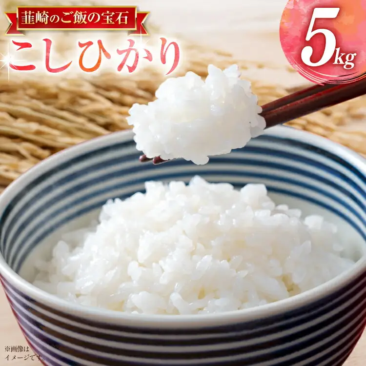 令和8年産 コシヒカリ 5kg 白米 [駒井農園 山梨県 韮崎市 20745372]