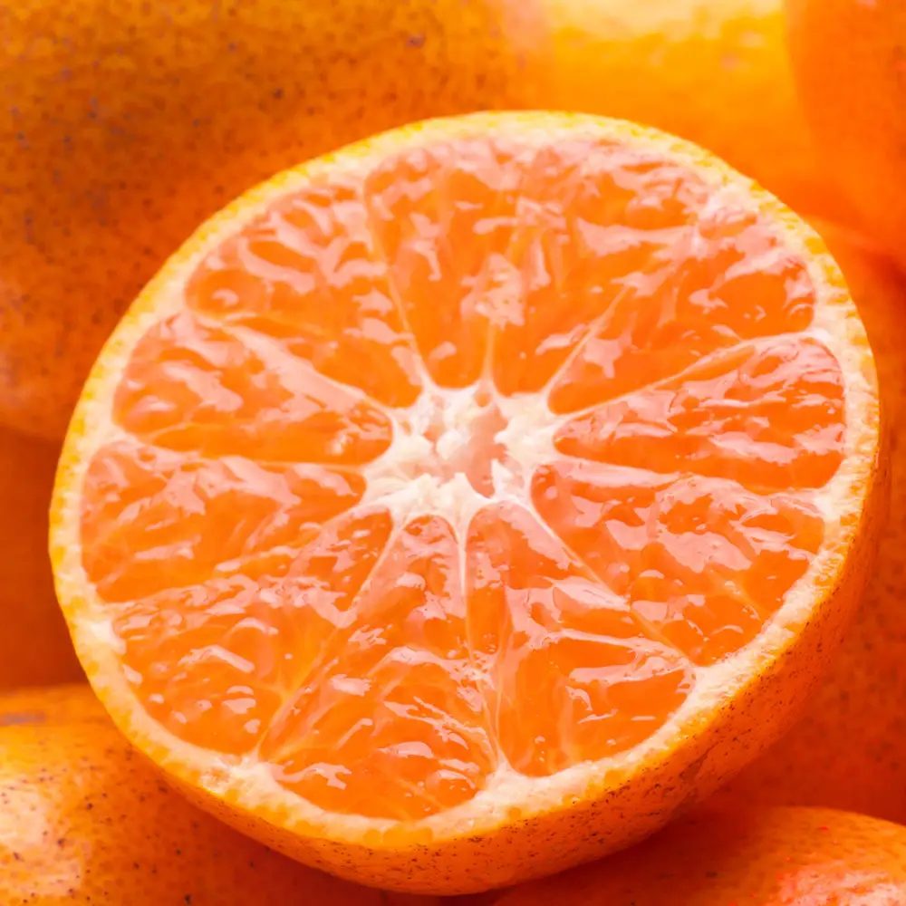 家庭用 有田みかん定期便 約5kg 全3回 10月・11月・12月発送