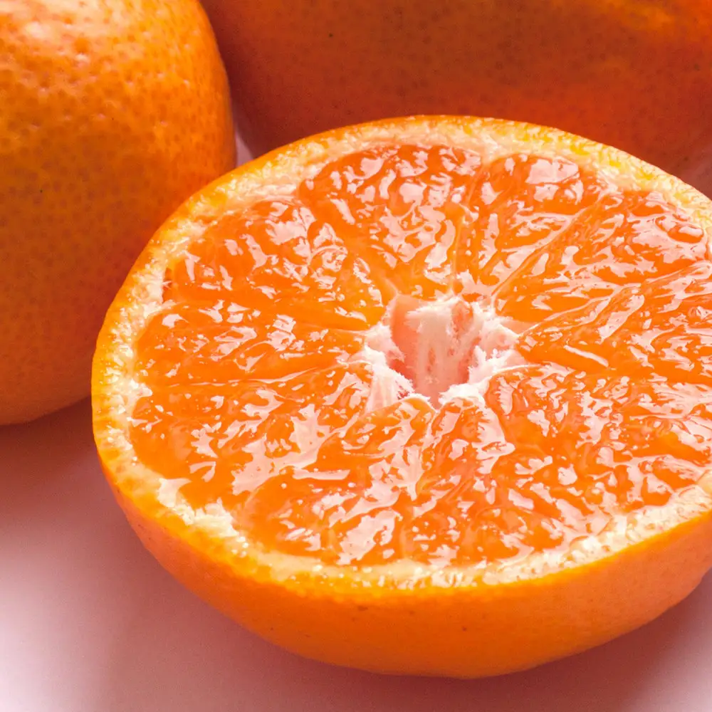 極プレミアム有田みかん 約1kg 定期便 全3回 10月・11月・12月発送