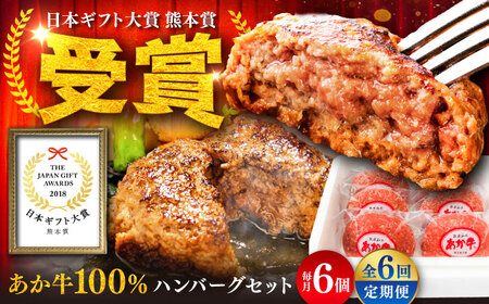 全6回定期便 熊本和牛 あか牛 ハンバーグ セット 約120g×6個 あか牛 ハンバーグ BHAS034