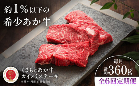 全6回定期便 GI認証 くまもとあか牛カイノミステーキ 約120g×3枚 BHAS061 カイノミステーキ
