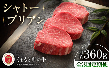 全3回定期便 GI認証くまもとあか牛シャトーブリアン 約120g×3枚BHAS072 シャトーブリアン